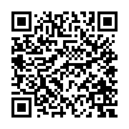 QR code for Z656P