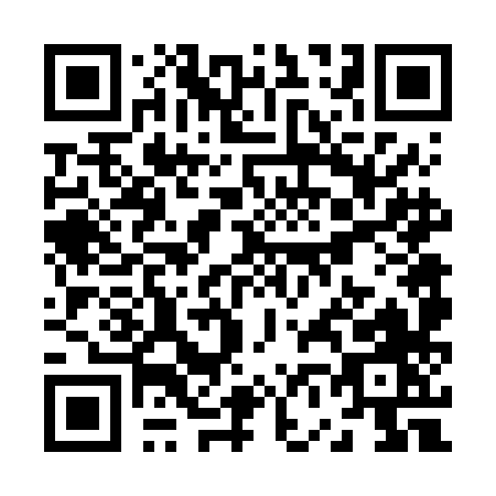 QR code for Z666H