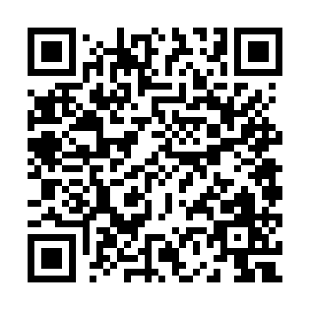 QR code for Z666Q