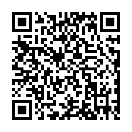QR code for Z668W