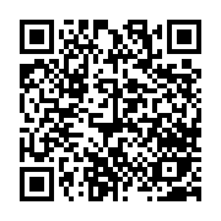 QR code for Z685N