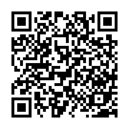 QR code for Z687Q