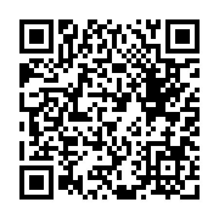 QR code for Z699X