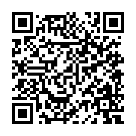 QR code for Z704I