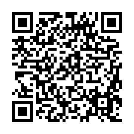 QR code for Z738L