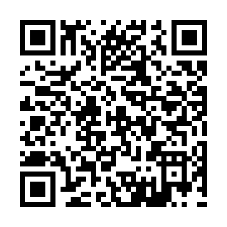 QR code for Z743T