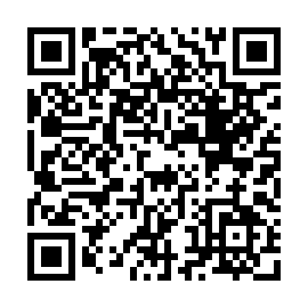 QR code for Z809I