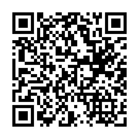 QR code for Z81 9XE