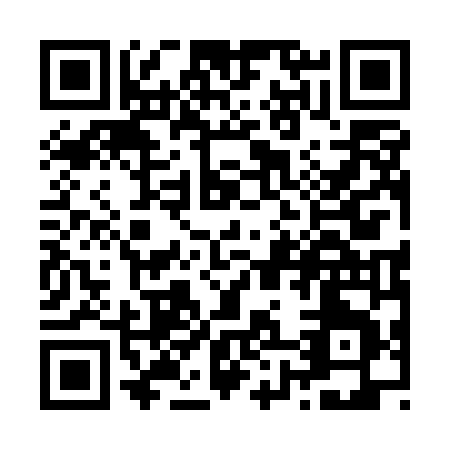 QR code for Z815N