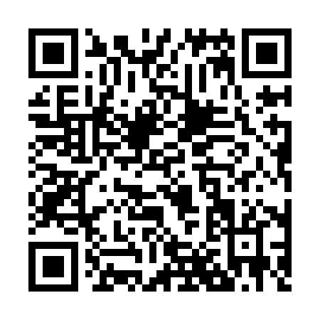 QR code for Z819H
