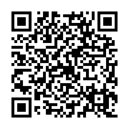 QR code for Z869B