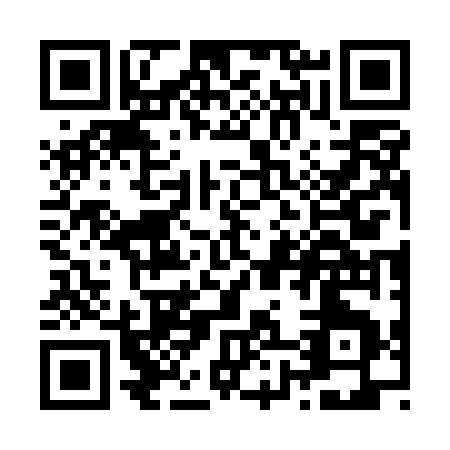 QR code for Z875G