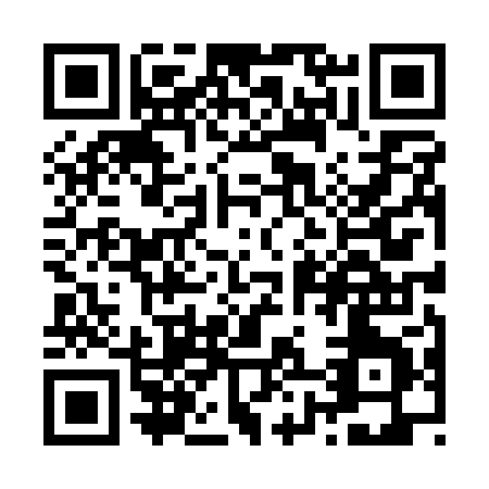 QR code for Z881P