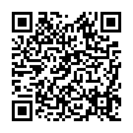 QR code for Z906T
