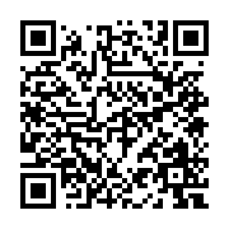 QR code for Z910Q