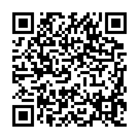 QR code for Z913Y