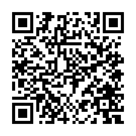 QR code for Z915N