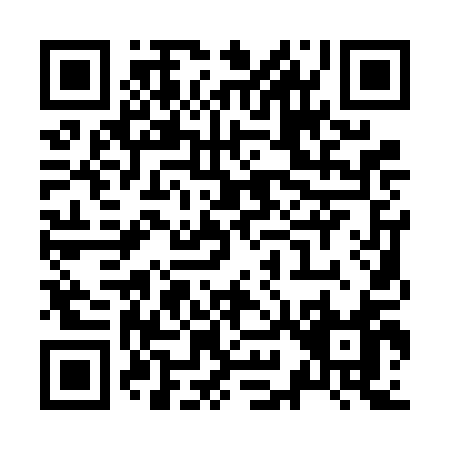 QR code for Z916A
