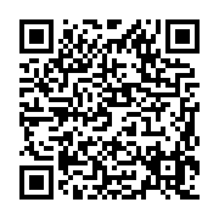 QR code for Z918X