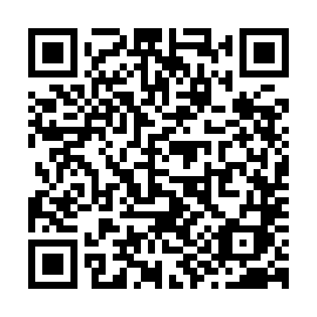 QR code for Z93 9LI