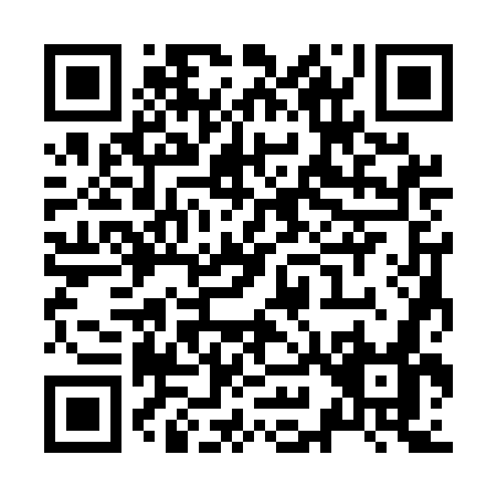QR code for Z935G