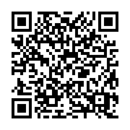 QR code for Z935XT