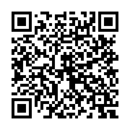 QR code for Z938ZY