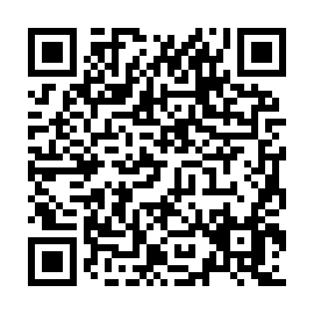 QR code for Z939T