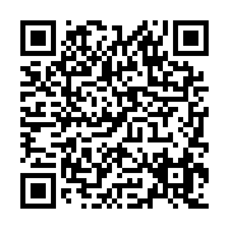 QR code for Z941C
