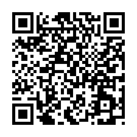 QR code for Z941G