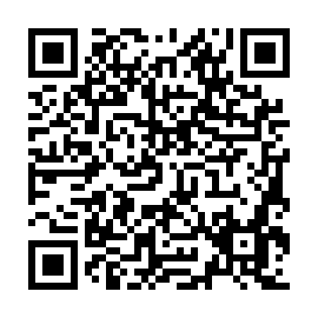 QR code for Z955G
