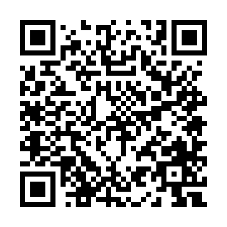QR code for Z955X