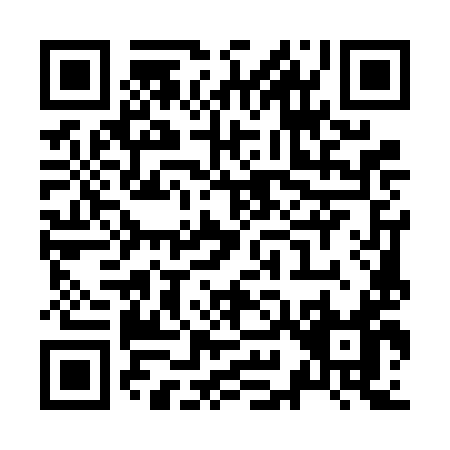 QR code for Z956I