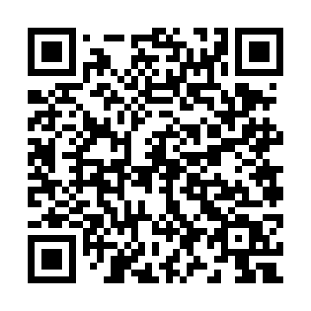 QR code for Z96 4GT