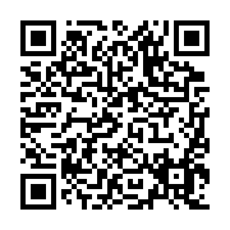QR code for Z963T