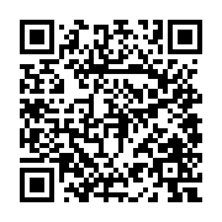 QR code for Z965U