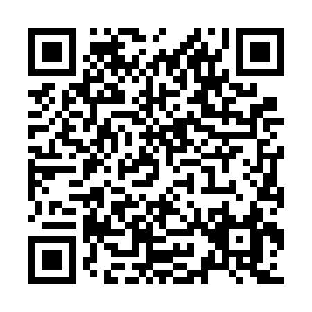 QR code for Z966C