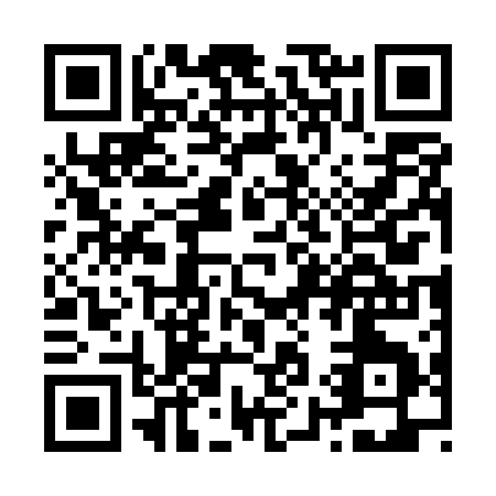 QR code for Z975Q