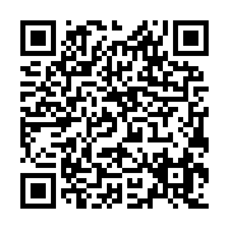 QR code for Z979S