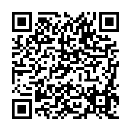 QR code for Z980L