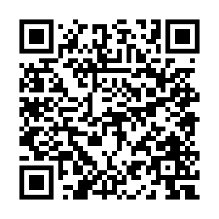 QR code for Z980U
