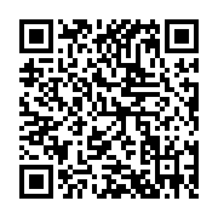 QR code for Z981L