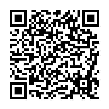 QR code for Z981W