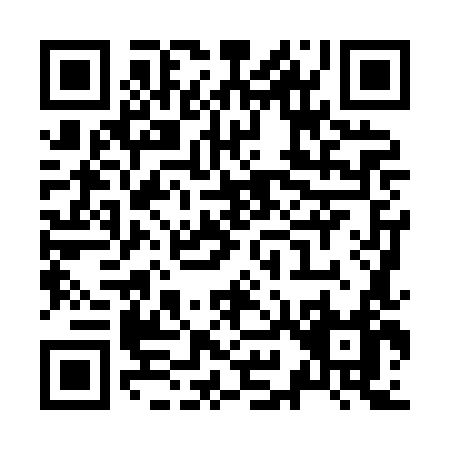 QR code for Z988L