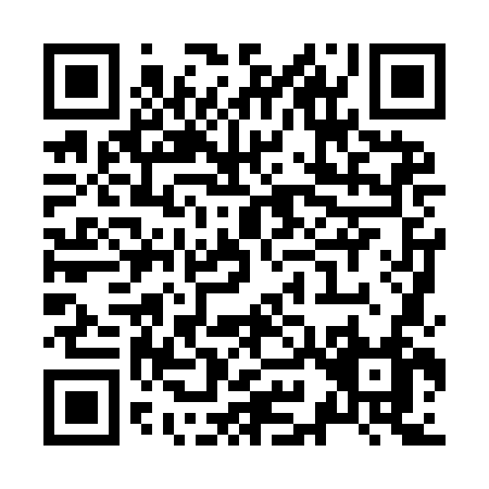 QR code for Z989N