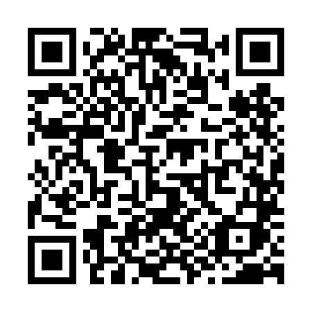 QR code for Z99 4LI
