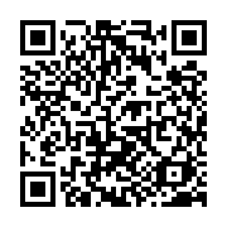 QR code for Z99 5RI