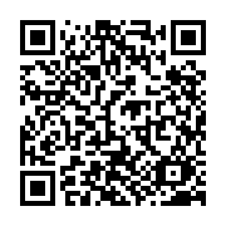 QR code for Z991CO