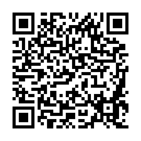 QR code for Z992M