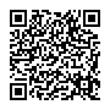 QR code for Z992Z